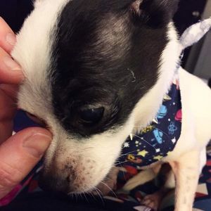 Meet your Posher, Patrick